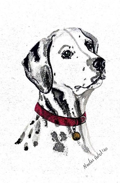 Dalmatian