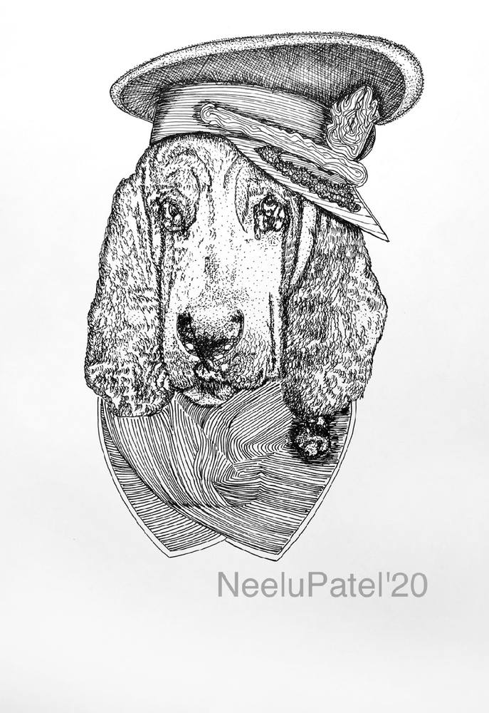 Basset in Uniform