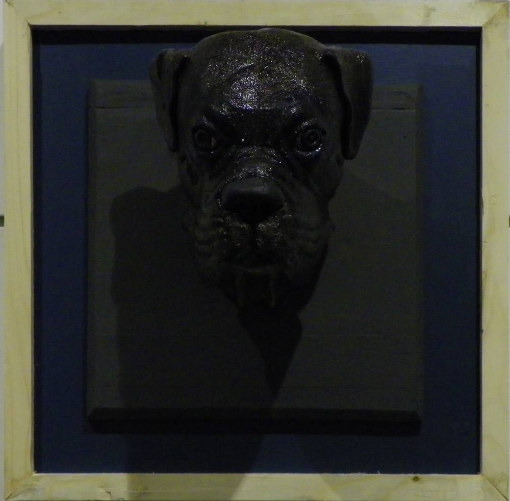 Boxer Relief