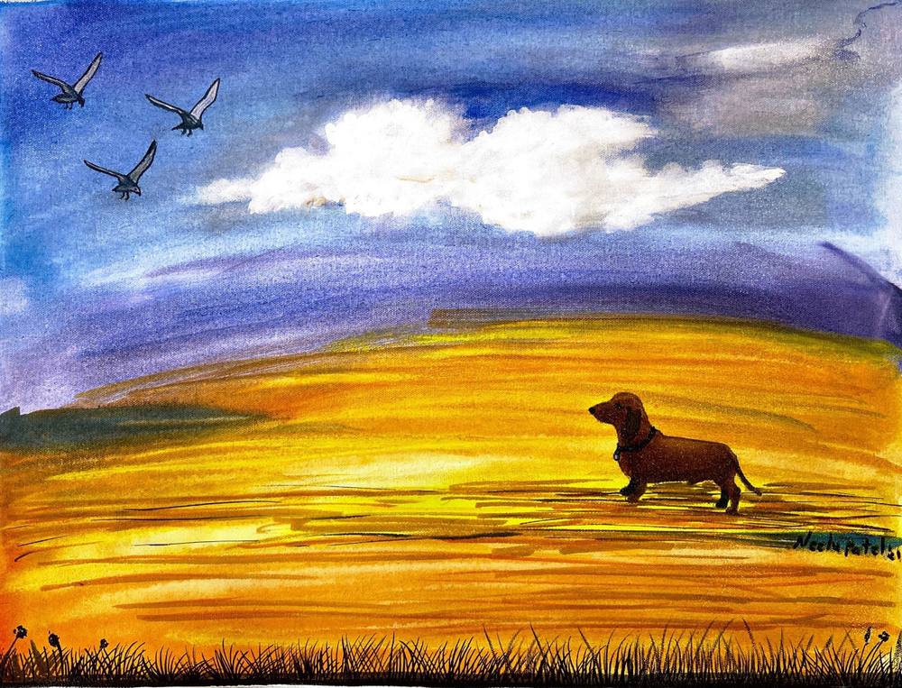Dachshund in the Golden Field