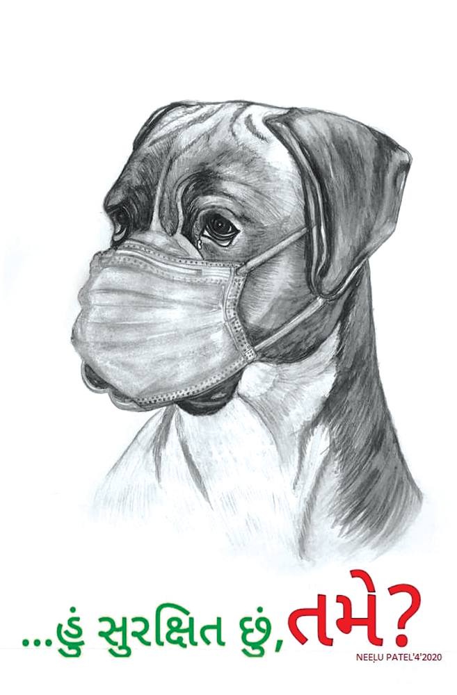 Masked Boxer